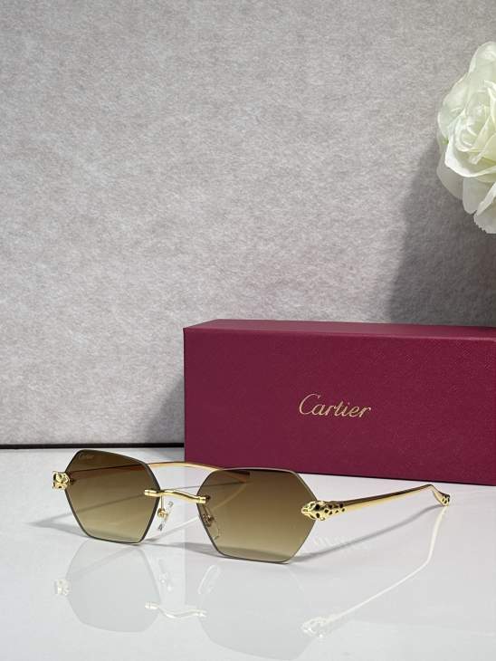 Picture of Cartier Sunglasses _SKUfw79724110fw